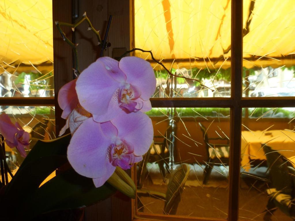 Post Hardermannli Hotel Interlaken Ngoại thất bức ảnh